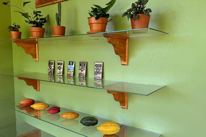 Kamananui Cacao Orchard Tour - Guides who make the science easy to follow
