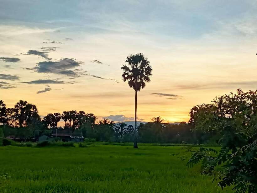 Kampot Countryside include Pepper farm,Kep crab market beach - Why the Kampot countryside makes a good day trip