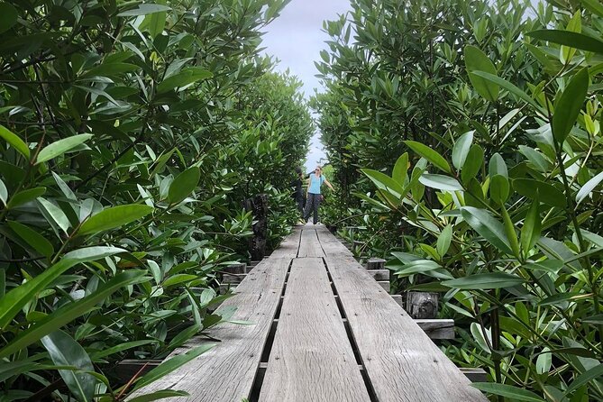 Kampot Countryside Tour - Pepper Farm, Salt Lake, Caves, and more - What the $24 Kampot tour really offers
