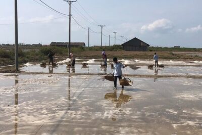 Kampot Countryside Tour – Pepper Farm, Salt Lake, Caves, and more