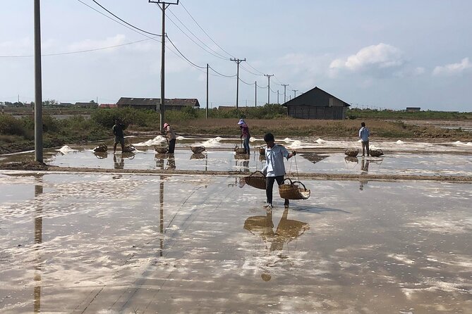 Kampot Countryside Tour - Pepper Farm, Salt Lake, Caves, and more - Salt fields: Kampot’s working countryside