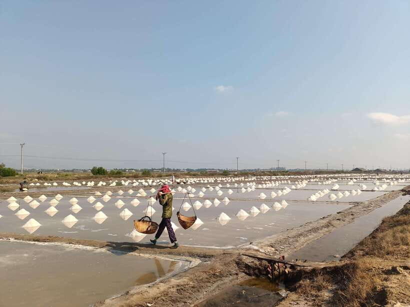 Kampot: Full-day Countryside Tour with Pepper Farm and Kep - Who should book this tour