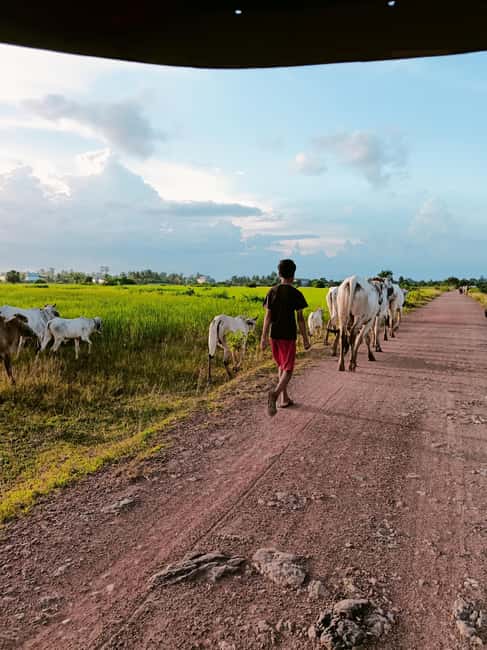 Kampot Pepper farm & Kayak trip around Green cathedral Sunse - La Plantation: the main pepper stop
