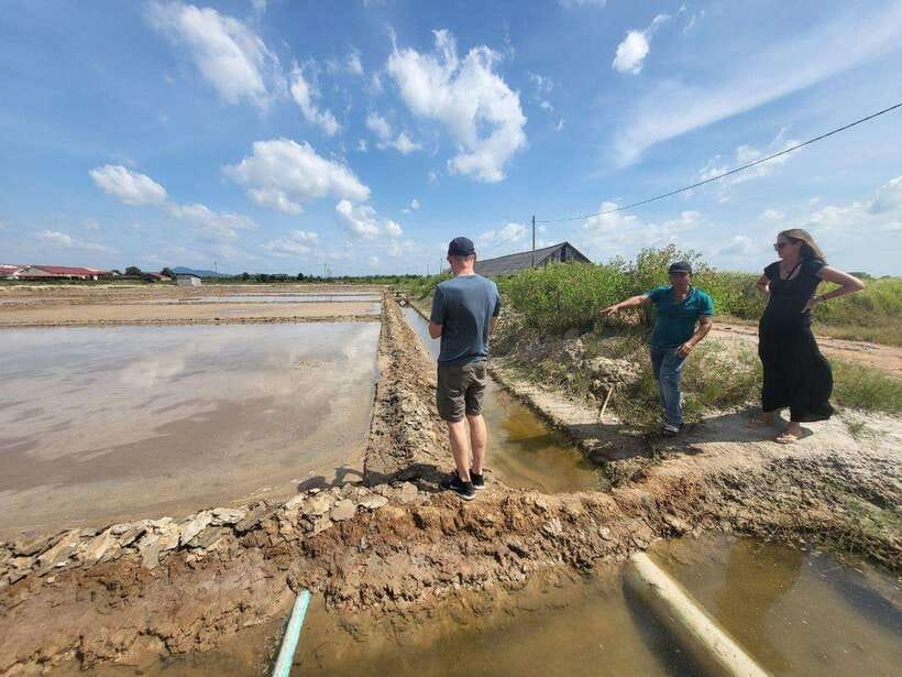 Kampot Pepper Farm, Salt Fields, Cave from Sihanoukville - Key Points at a Glance