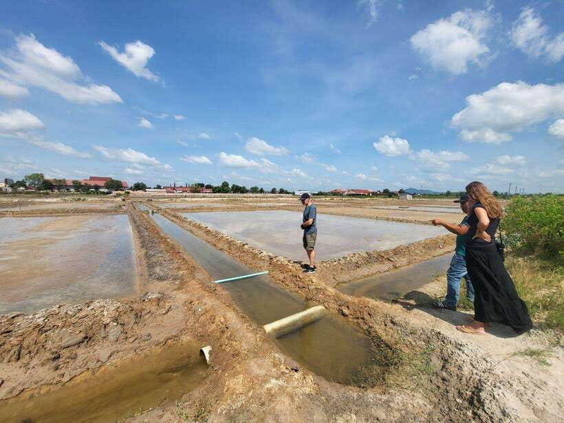 Kampot Pepper Farm, Salt Fields, Cave from Sihanoukville - The Road From Sihanoukville to Kampot