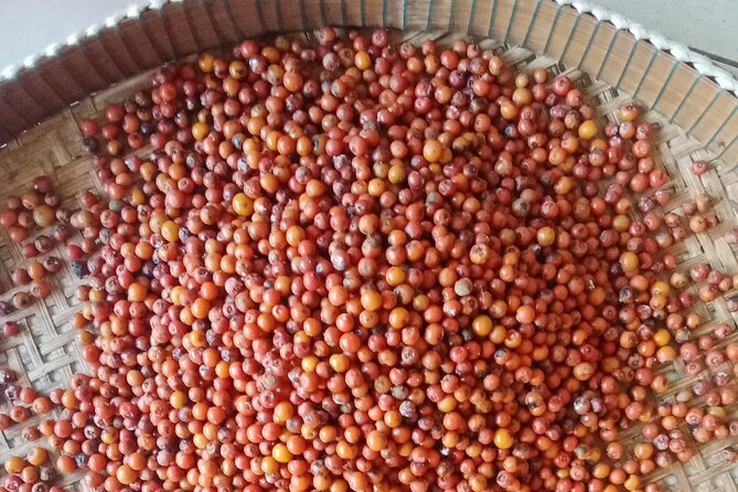 KAMPOT- Pepper farm ..salt fields.Kep/Crab market & more........ - What this Kampot day trip actually covers