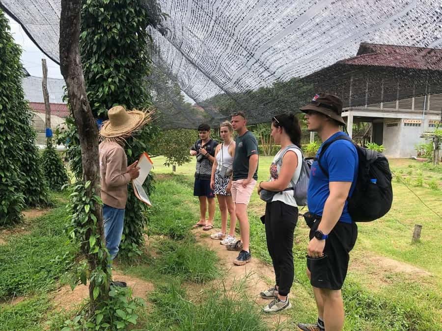Kampot Private Tour: Pepper Farm, Salt Field & Secret Lake - Practical advice before you book