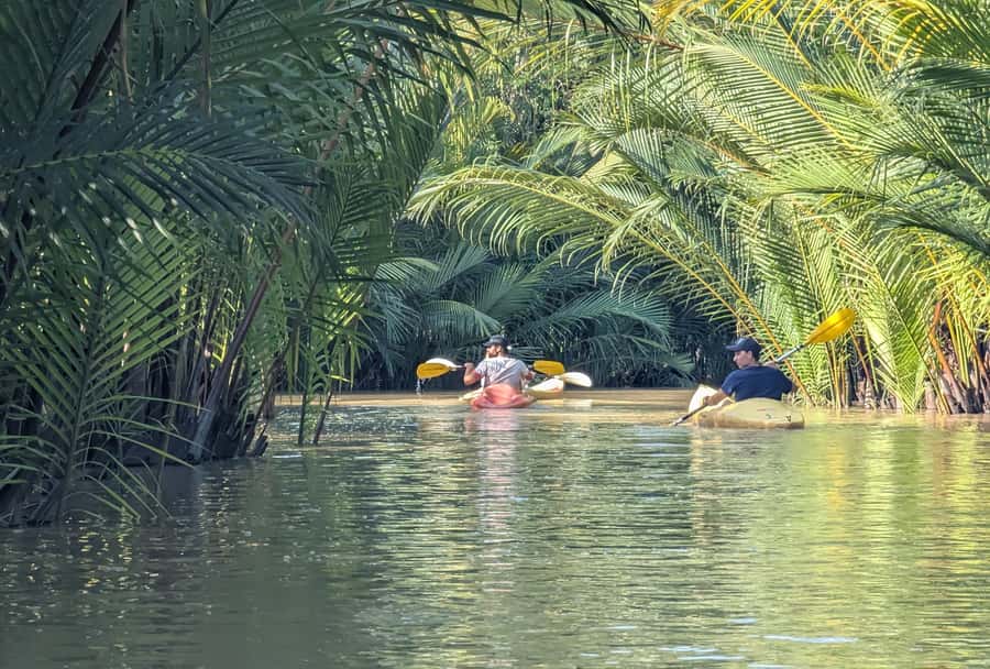 Kampot's Countryside & Kayak Tour, Pepper Farm include Lunch - Seeing how Kampot pepper reaches your table