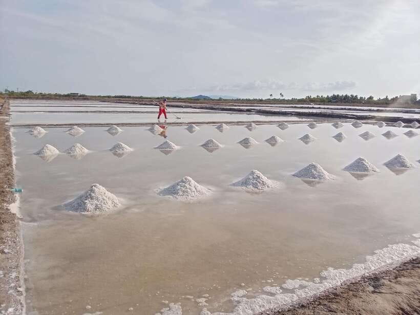 Kampot: Tuk Tuk Trip to Pepper Farm, Kep, Crab Market & More - What the $25 price really covers