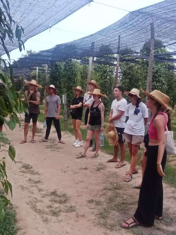 Kampot: Tuk Tuk Trip to Pepper Farm, Kep, Crab Market & More - Kep Crab Market and lunch with Kampot pepper
