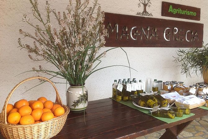 Katakolon 7hour tour : Olympia-Honey Farm-Winery-Beach - Meeting your guide at Katakolon port
