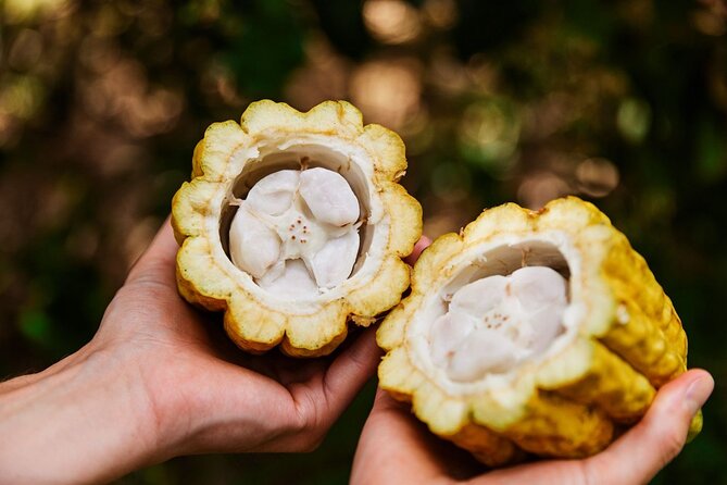Kauai Chocolate Farm Tasting Tour - Practical advice before booking