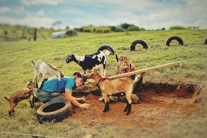 Kauai Private Baby Farm Animal Experience & Micro Dairy Immersion - Key points about this Kauai farm visit