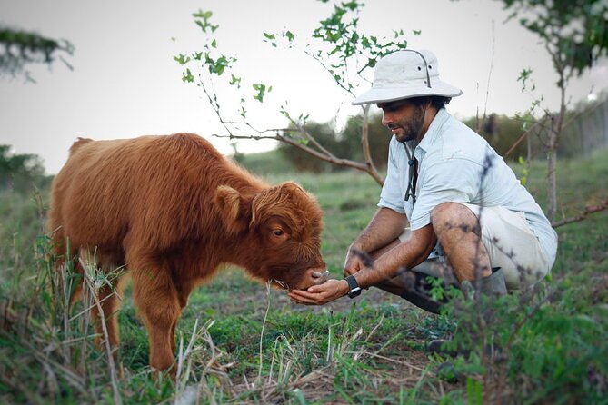 Kauai Private Baby Farm Animal Experience & Micro Dairy Immersion - Meeting Baby Goats on Kauai’s East Side
