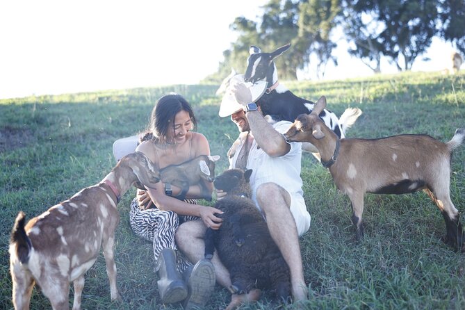 Kauai Private Baby Farm Animal Experience & Micro Dairy Immersion - Choosing 8 AM or 9 AM