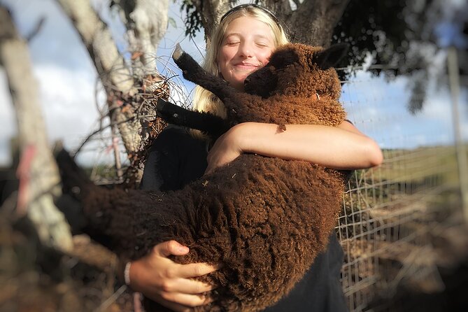 Kauai Private Baby Farm Animal Experience & Micro Dairy Immersion - Is $125 a Fair Price?