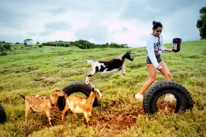 Kauai Private Baby Farm Animal Experience & Micro Dairy Immersion - From Petting Animals to Milking a Goat