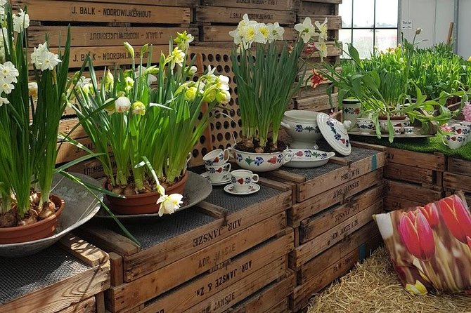 Keukenhof Skip-the-line Tickets: Countryside & Farm Private Tour - Why this private day works so well