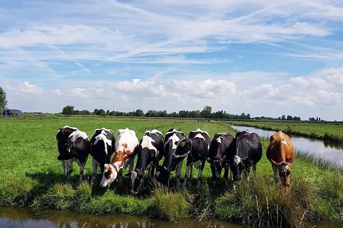 Keukenhof Skip-the-line Tickets: Countryside & Farm Private Tour - Zaanse Schans: windmills with a short visit