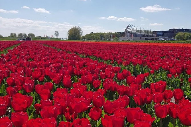 Keukenhof Skip-the-line Tickets: Countryside & Farm Private Tour - The Mercedes vehicle and the value of private transport
