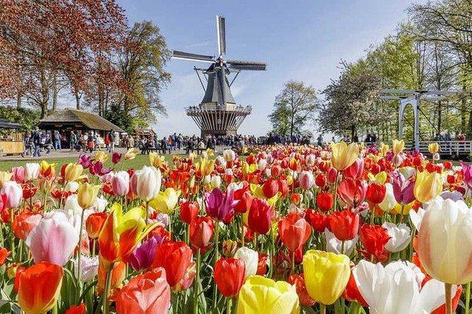 Keukenhof Skip-the-line Tickets: Countryside & Farm Private Tour - Is $548.47 per person good value?