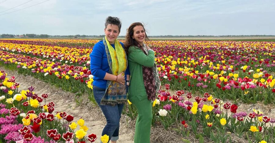 Keukenhof, Tulip Farm, Flower Fields & Windmills - Key points at a glance