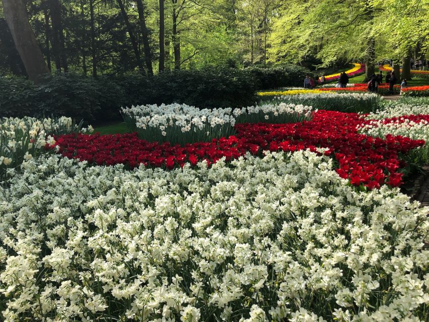 Keukenhof, Tulip Farm, Flower Fields & Windmills - What this private Dutch day covers