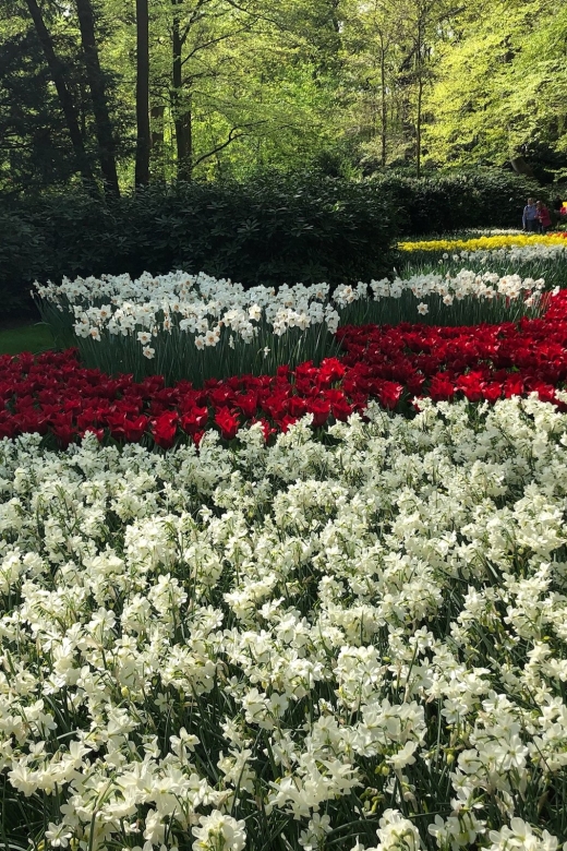 Keukenhof, Tulip Farm, Flower Fields & Windmills - Zaanse Schans and the old Dutch workshop world
