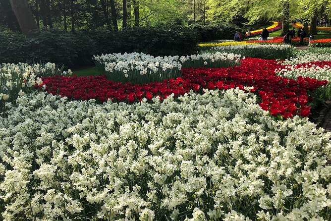 Keukenhof, Tulip Farm, Flower Fields & Zaanse Schans Windmills - One day, two very different views of the Netherlands