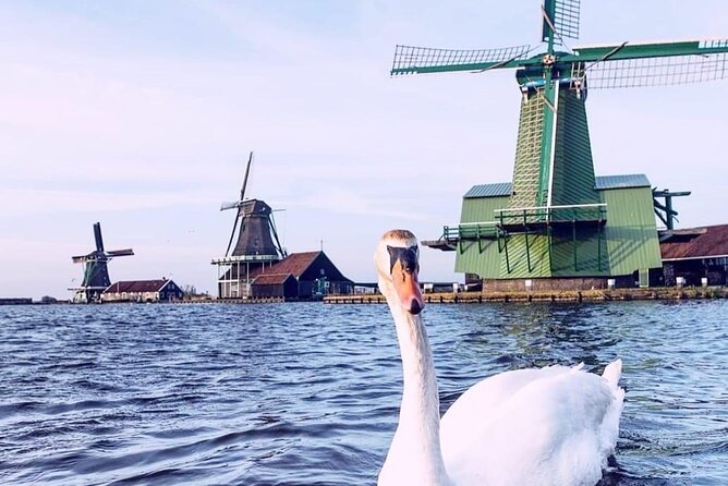 Keukenhof, Tulip Farm, Flower Fields & Zaanse Schans Windmills - Flower fields and a possible tulip-farm stop
