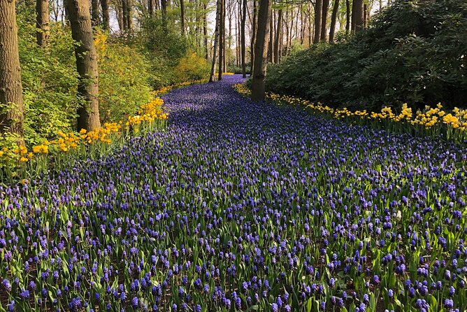 Keukenhof, Tulip Farm, Flower Fields & Zaanse Schans Windmills - The 10 a.m. pickup and private drive