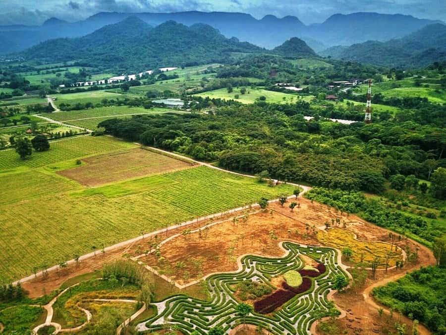 Khao Yai Vineyard Tasting Tour & Horse Farm Visit - Lunch at The Great Hornbill Restaurant