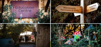 Kildare: Clonfert Farm General Admission Ticket