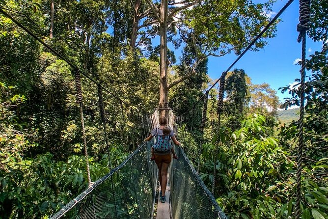 Kinabalu Park & Poring Hot Springs Tour with Desa Dairy Farm - Kinabalu Park and a final look at Sabah’s highest peak