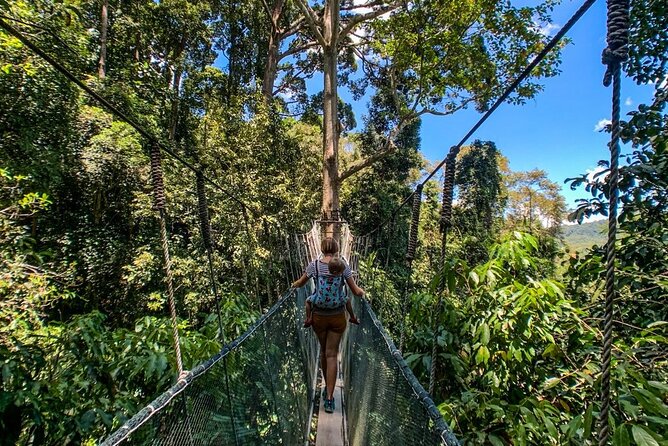 Kinabalu Park Tour with Desa Dairy Farm & Poring Hot Springs - The morning drive to Nabalu Market