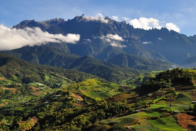 Kinabalu Park Tour with Desa Dairy Farm & Poring Hot Springs - What the $124.82 price really covers