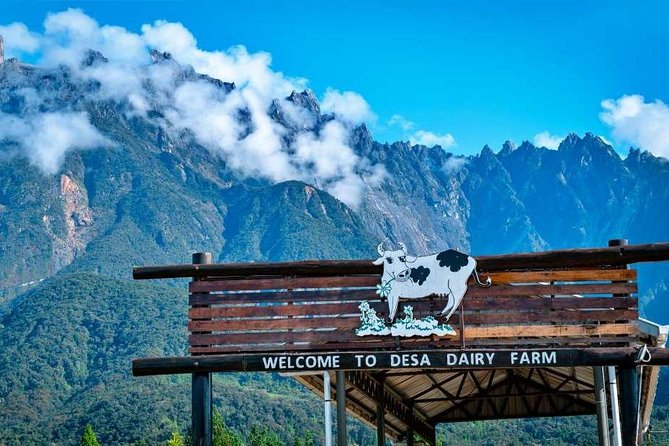 Kinabalu Park With Rumah Terbalik & Desa Cow Farm - Key things to know before booking