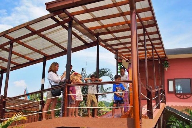 Kinabalu Park With Rumah Terbalik & Desa Cow Farm - Desa Dairy Farm: the most hands-on stop