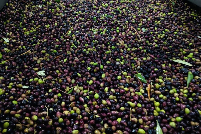 Kleanthi Olive Farm: Guided Tour with Local Delicacies Tasting - The tasting table is more than a sample cup
