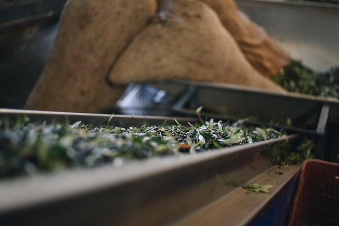 Kleanthi Olive Farm: Guided Tour with Local Delicacies Tasting - Cretan family culture without the formal polish