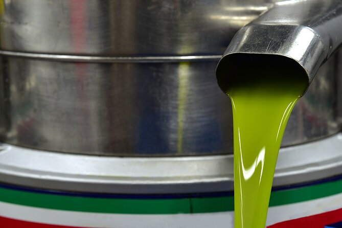Kleanthi Olive Farm: Guided Tour with Local Delicacies Tasting - Is $25.34 good value?
