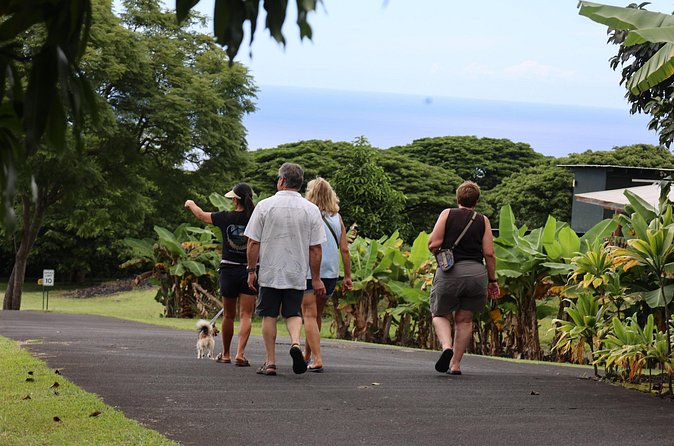 Kona Coffee Farm Tour from Tree to Tasting Room - Who will enjoy Bay View Farm most