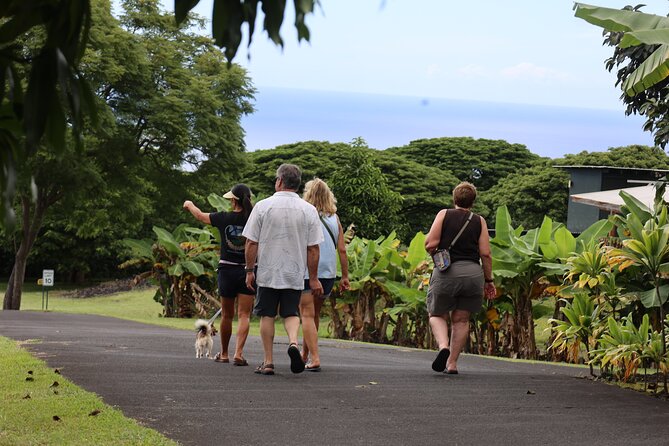 Kona Coffee Farm Tour from Tree to Tasting Room - Booking, timing, and cancellation details
