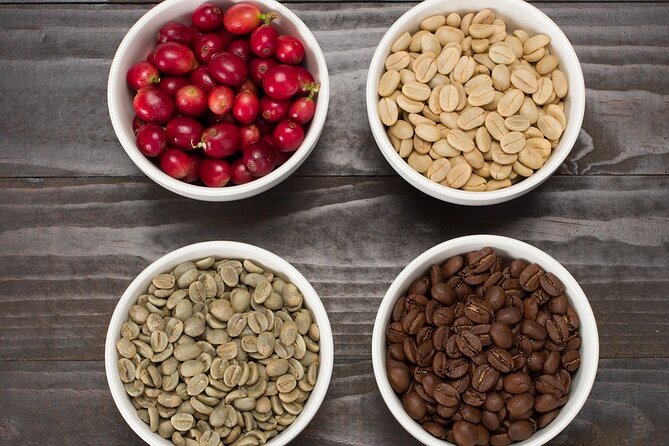 Kona Coffee Tasting: A Farm to Cup Experience - Three cups, three ways to understand Kona coffee