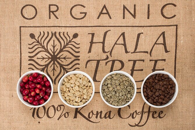 Kona Coffee Tasting: A Farm to Cup Experience - Is $10 a good value?