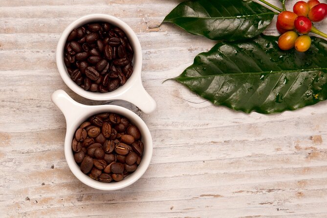 Kona Coffee Tasting: A Farm to Cup Experience - Who will enjoy this tasting most?
