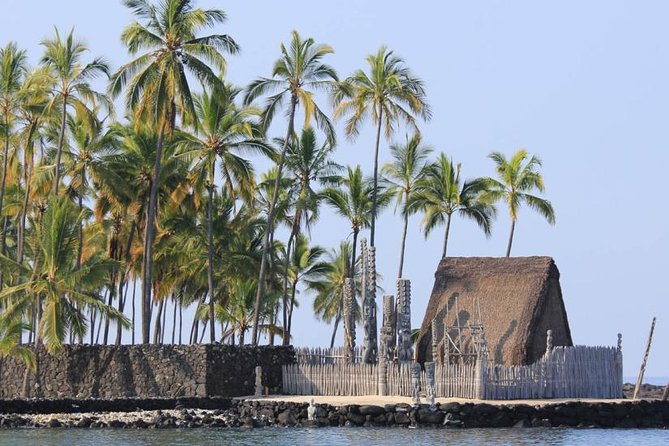 Kona Tour: Bee Farm, Kona Coffee, and National Historical Parks - Big Island Bees: a sweet stop with a practical lesson