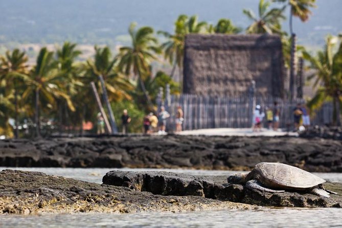 Kona Tour: Bee Farm, Kona Coffee, and National Historical Parks - Who will enjoy this tour most