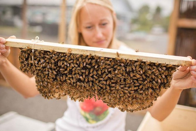 Kona Tour: Bee Farm, Kona Coffee, and National Historical Parks - Kaloko-Honokohau: fishponds, petroglyphs, and shoreline wildlife