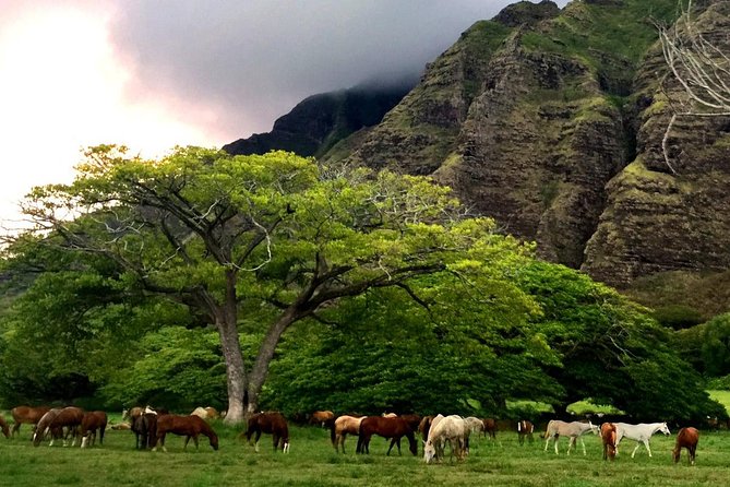 Kualoa Ranch - Horseback Walking Tour - The two-hour route through Ka’a’awa Valley